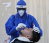 471 new cases of Corona ... Gaza records a record number of deaths