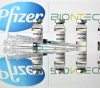 Cyber â€‹â€‹attack targeting data of &quot;Pfizer&quot; and &quot;Biontech&quot;