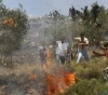 Settlers burn old olive trees in Yatta
