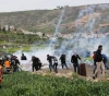 The occupation suppresses a march and settlers shoot at journalists in Mughayir, northeast of Ramallah