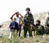 Settlers throw stones at citizens&acute; vehicles south of Nablus