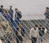 700 sick cases among the prisoners, 40 of them stubborn