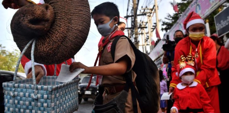 Elephants in Santa Claus uniform distribute masks at a Thai school