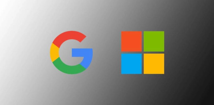 Google and Microsoft have joined forces with the funders of an Indian alternative to &quot;Tik Tok&quot;