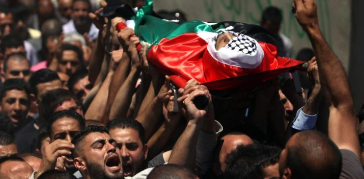 48 Palestinian martyrs in 2020