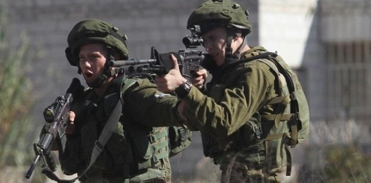 The Israeli army killed 25 Palestinians and wounded 787 in the West Bank in 2020
