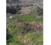 Settlers flood large areas of agricultural land with wastewater