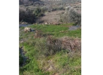 Settlers flood large areas of agricultural land with wastewater