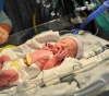 Gaza health: out of laboratory testing for newborns