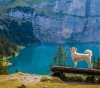 Learn about the three most stunning lakes in Switzerland