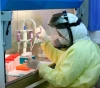 13 new infections with a mutated mutation from the &quot;Corona&quot; virus