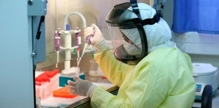 13 new infections with a mutated mutation from the &quot;Corona&quot; virus