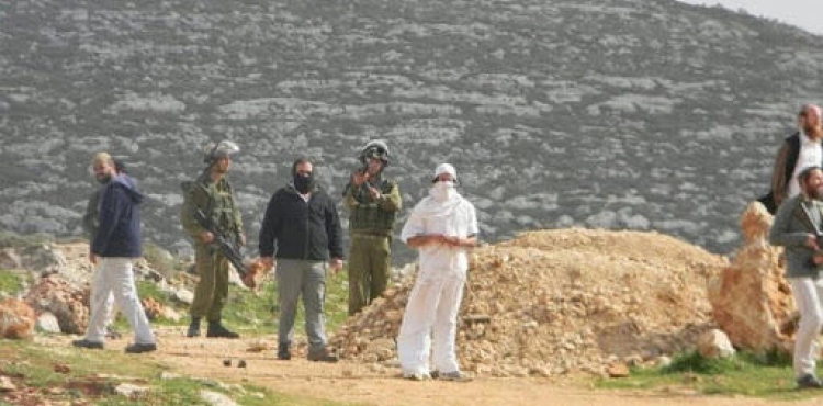 Settlers spray agricultural lands in Khirbet Tana with toxic materials