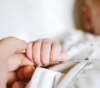 3391 were born in Gaza in January