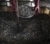 Gaza: factories that rely on recycled plastic waste to run their production lines