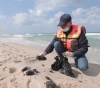 Gaza: Petroleum materials were found after an oil spill
