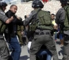 Occupation attacks Jerusalemites near Bab al-Amud in Jerusalem