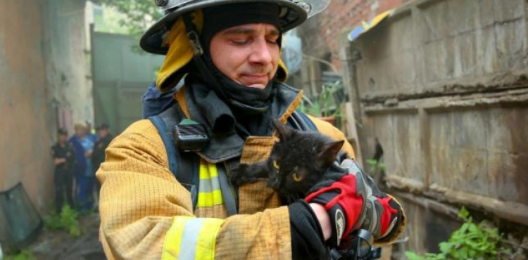 Cats&acute; meows save sleeping residents from fires in Germany