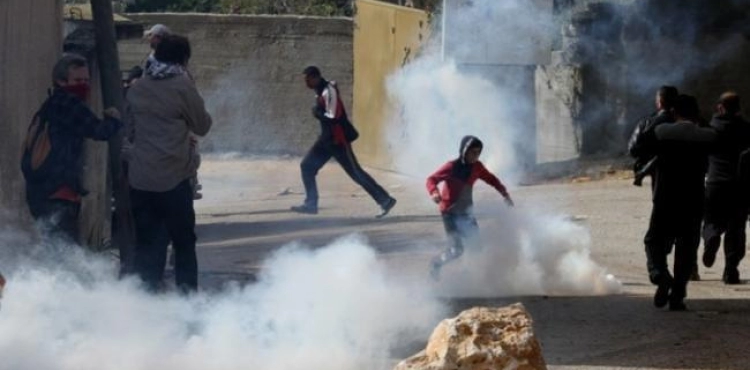 The occupation suppresses a stand in solidarity with the people of Ain al-Bayda, south of Hebron