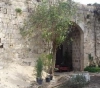The occupation army and settlers attack the people of the historic Khan al-Laban