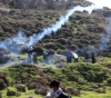 Shot and suffocation injuries due to the occupation&acute;s suppression of two marches in Beit Dajan and Kafr Qaddum