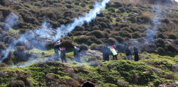 Shot and suffocation injuries due to the occupation´s suppression of two marches in Beit Dajan and Kafr Qaddum