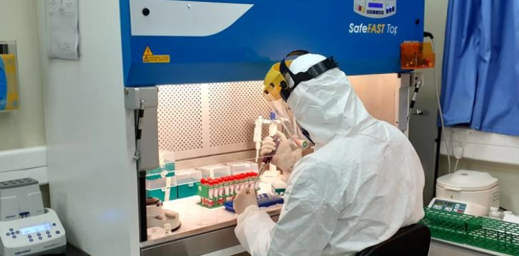 27 deaths and 2,397 cases of corona .. 183 cases of intensive care, including 54 on respirators