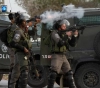Two young men were wounded by live bullets from the occupation forces in Bir Nabala, northwest of Jerusalem