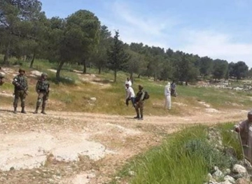Settlers take over an agricultural road and cut down olive trees in Salfit