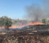 Settlers set fire to olive trees south of Bethlehem