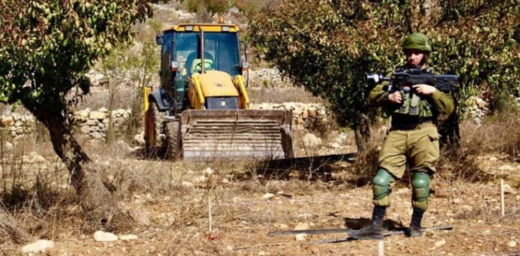 Land Research: The occupation established 388 landfills and uprooted more than 96,000 trees during the year of Corona