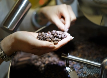 Rediscovering coffee could save its declining industry due to climate change