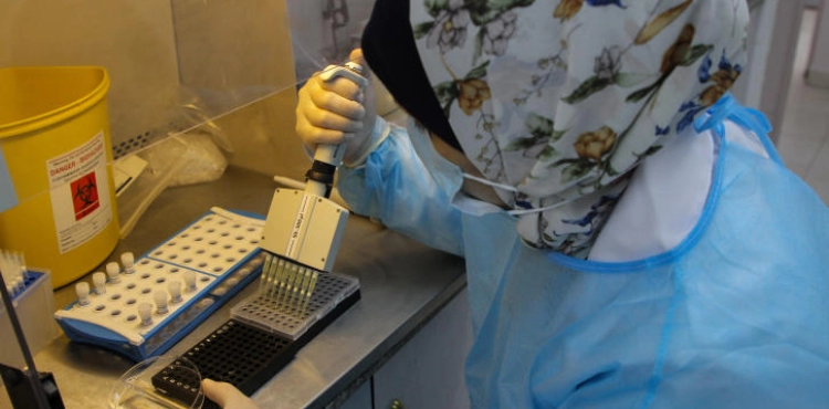 6 deaths from Corona in Gaza, and 723 injuries