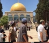 20 desecration of Al-Aqsa and 44 times the occupation prevented the call to prayer at the Al-Ibrahimi Mosque last month
