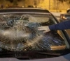 Settlers throw stones at citizens&acute; vehicles on the road connecting Nablus to Ramallah
