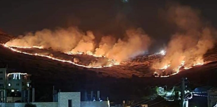 Settlers burn agricultural lands and attack civilians&acute; vehicles in Nablus