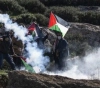 Nablus: The occupation suppressed two peaceful marches against the settlements in Beit Dajan and Beit Dajan
