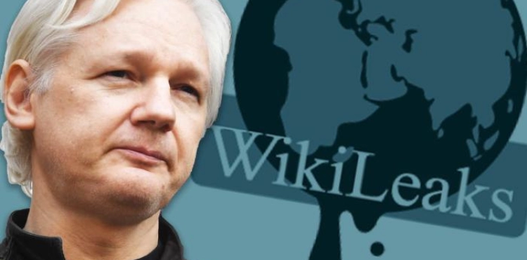 Wicklelex: Accusing Julian Assange in the United States