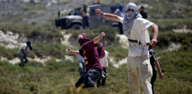 Settlers attack agricultural lands west of Nablus