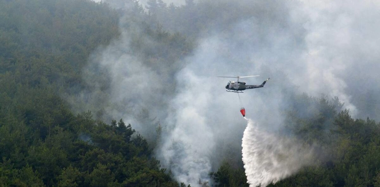 Lebanon .. a fire devouring parts of the largest pine forest in the region