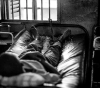 â€œPrisonersâ€™ Committeeâ€: Continuing the crime of medical negligence against prisoners in the occupation prisons