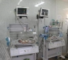 Gaza: about 4,000 births and 307 deaths last month