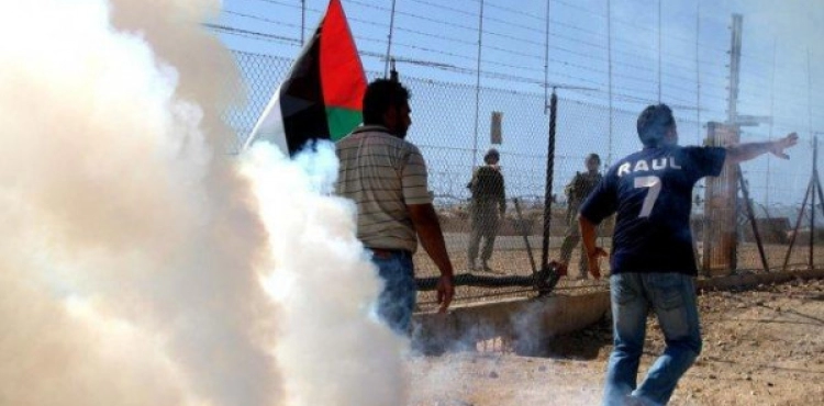 Suffocation cases during the occupationâ€™s suppression of a demonstration against settlements in Niâ€™lin