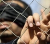 Center: 330 arrests during the past month