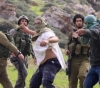A civilian was injured in a settler attack in Tel Rumeida, in the center of Hebron