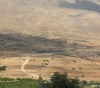 50% of the land in Palestine suffers from desertification