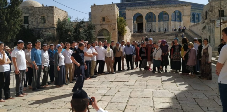 Photo: More than 500 settlers storm Al-Aqsa Mosque