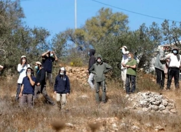 A young man was bruised after settlers attacked him in Beit Dajan