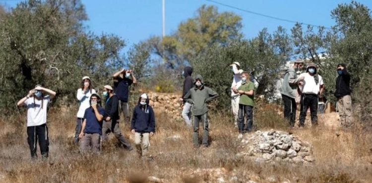 A young man was bruised after settlers attacked him in Beit Dajan