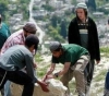 Settlers continue planting trees in the lands of Suwayda in the northern Jordan Valley